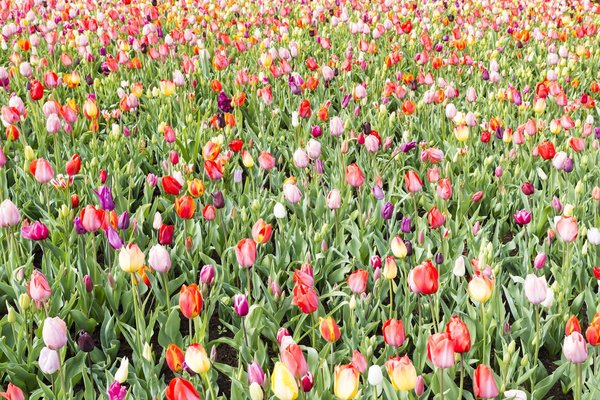 What Are the Best Tips for Wearing a Linen Suit Without Wrinkling?