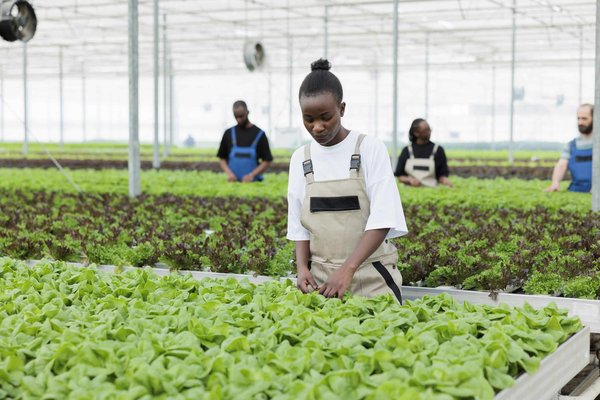 What Are the Best Non-Toxic Nail Polishes for Health-Conscious Professionals?